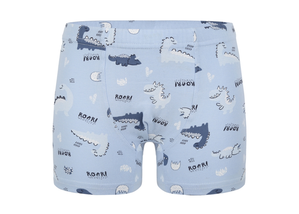 Erkek Çocuk Boxer